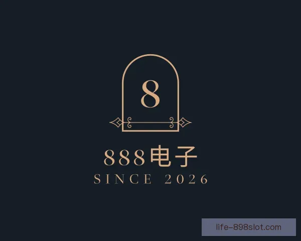 了解888电子
